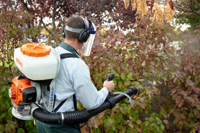 Mosquito Control Companies Work