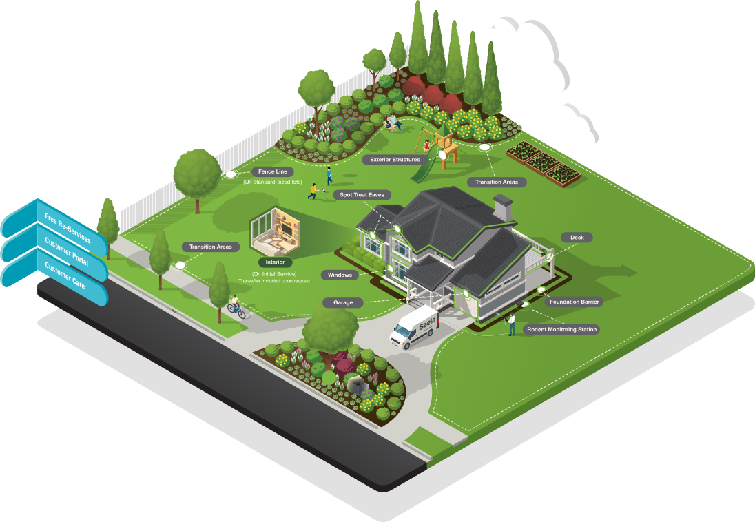 Top-Rated Hornet Control in Fort Worth, TX. Saela