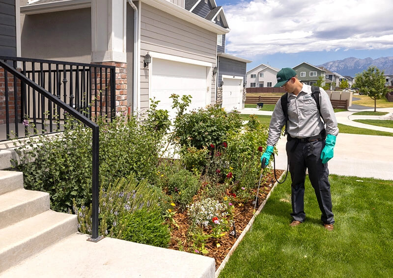 Contact Saela Denver Pest Control