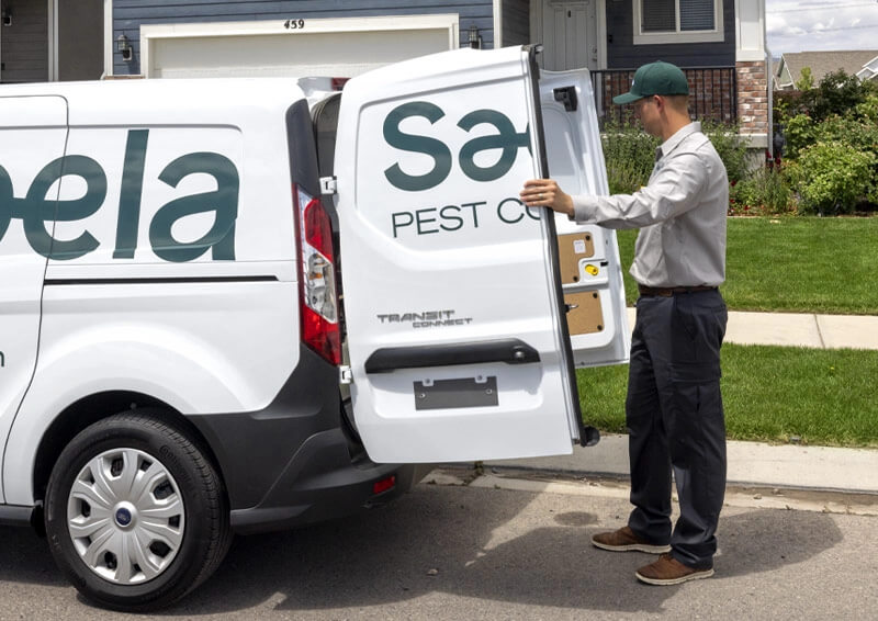 Contact Saela Denver Pest Control