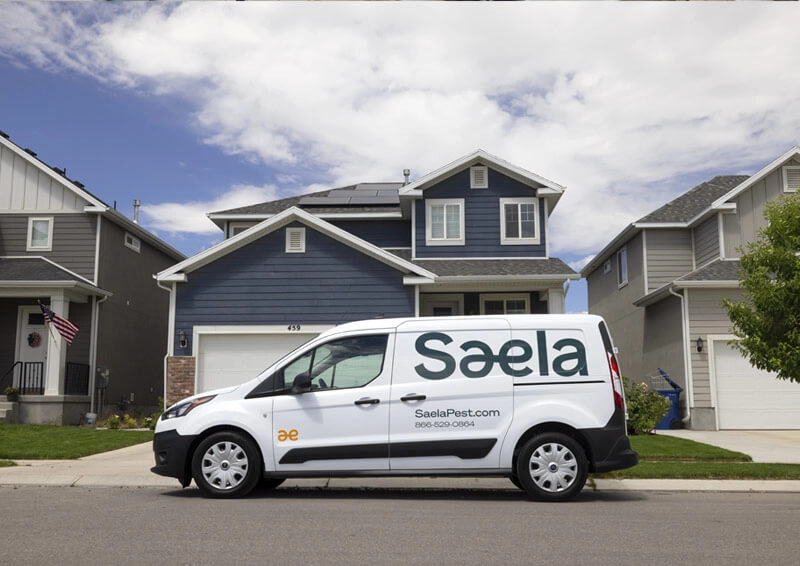 saela pest control