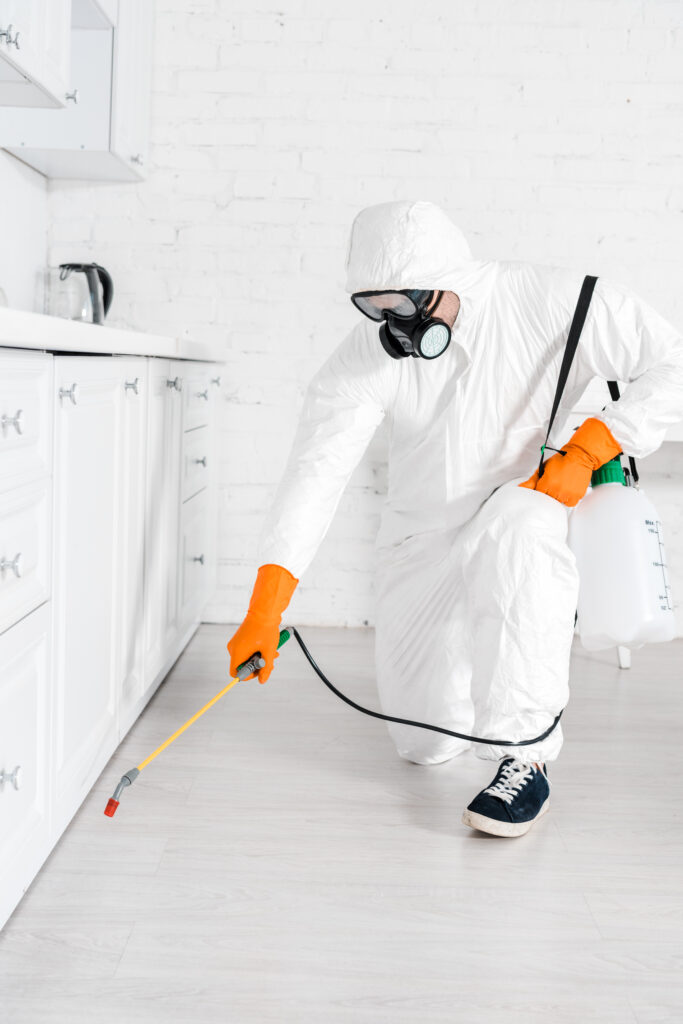 10 Signs You Need Professional Pest Control Services in Frisco