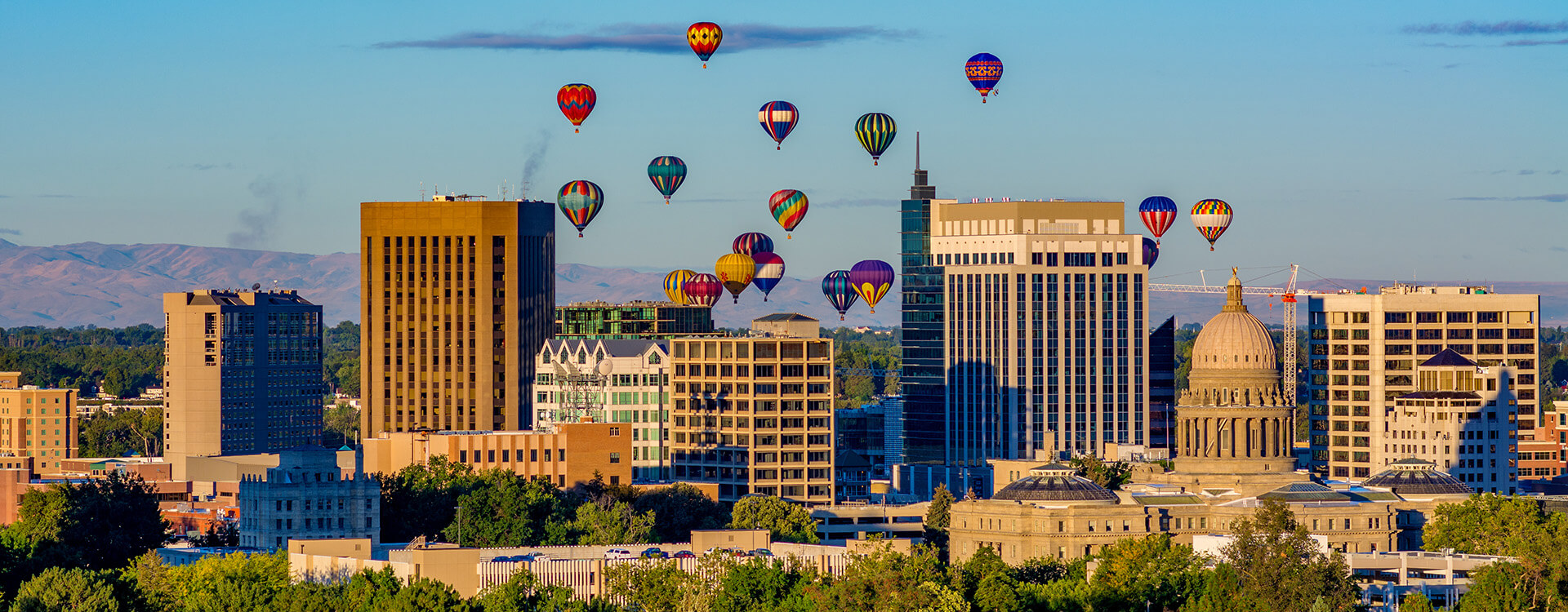 Cityscape near boise id where Saela provides pest control services
