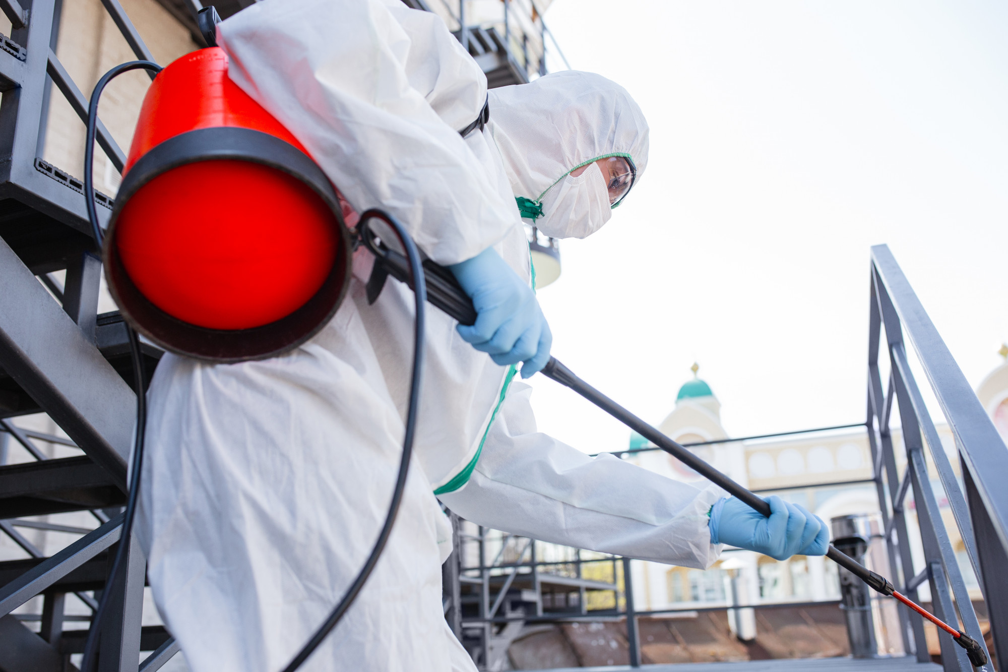 Complete Guide to Pest Control Services in Frisco