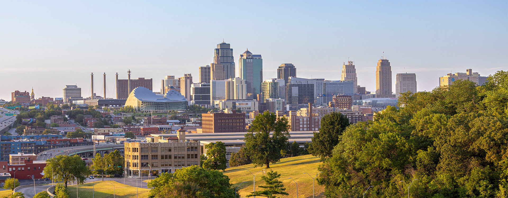 Cityscape near de-soto ks where Saela provides pest control services