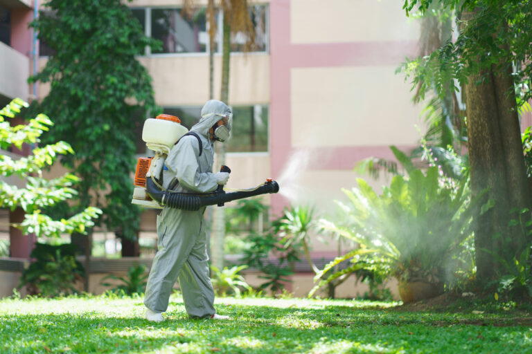 Effective Summer Pest Prevention Strategies for Ants, Mosquitoes, and Wasps