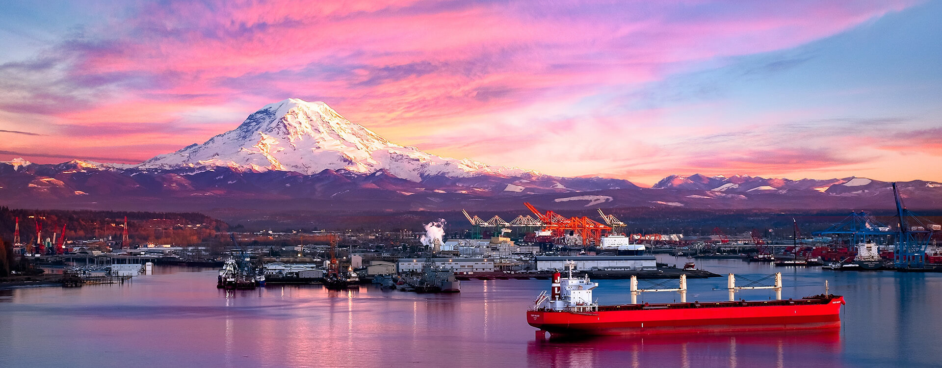 Cityscape near pacific wa where Saela provides pest control services