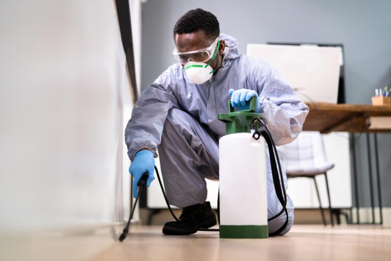 Comprehensive Guide to Pest Control Services in Albany, MO