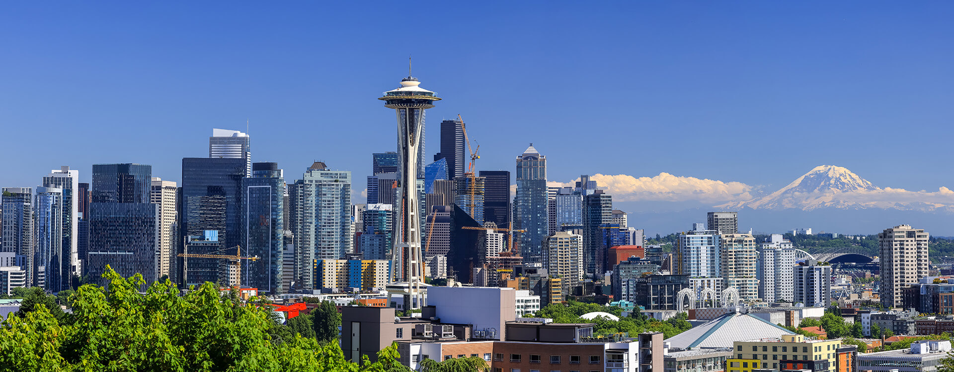 Cityscape near seattle wa where Saela provides pest control services