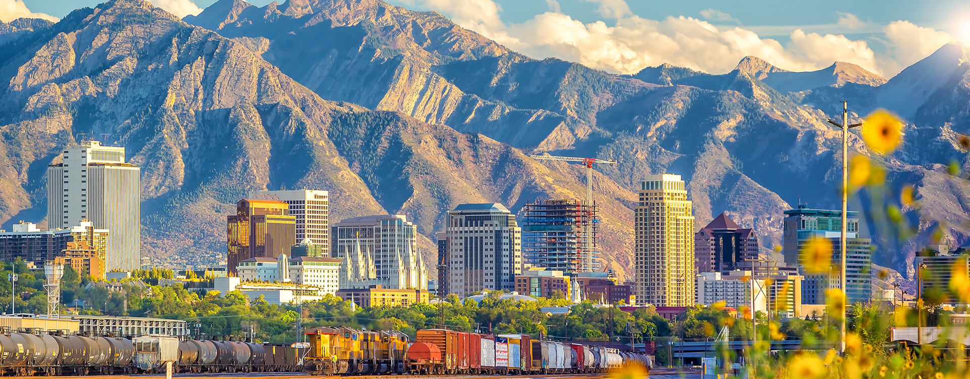 Cityscape near taylor ut where Saela provides pest control services